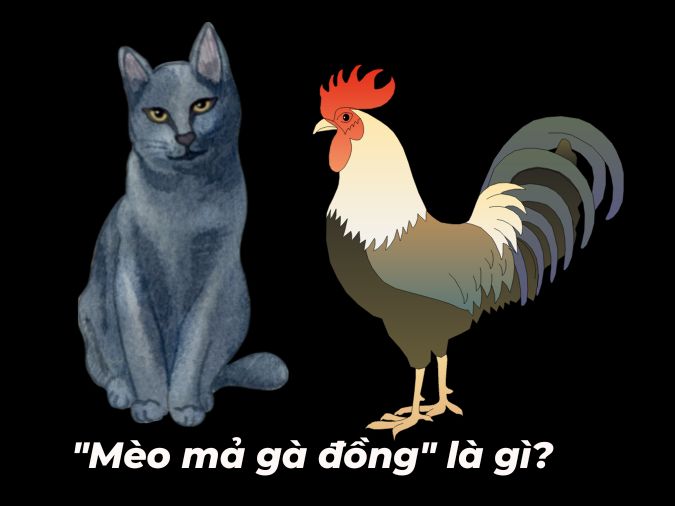(kết thúc) Ý nghĩa của câu “mèo mả gà đồng” là gì?  Đầu tiên