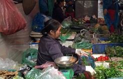 Mưa ngập ruộng, giá rau xanh chợ Hà Nội tăng vùn vụt