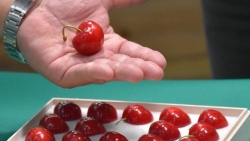 Trái cây siêu đắt: Hộp cherry cao cấp Nhật Bản giá gần 100 triệu đồng