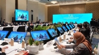 Việt Nam kêu gọi APEC trao đổi, thúc đẩy chính sách mở cửa du lịch quốc tế